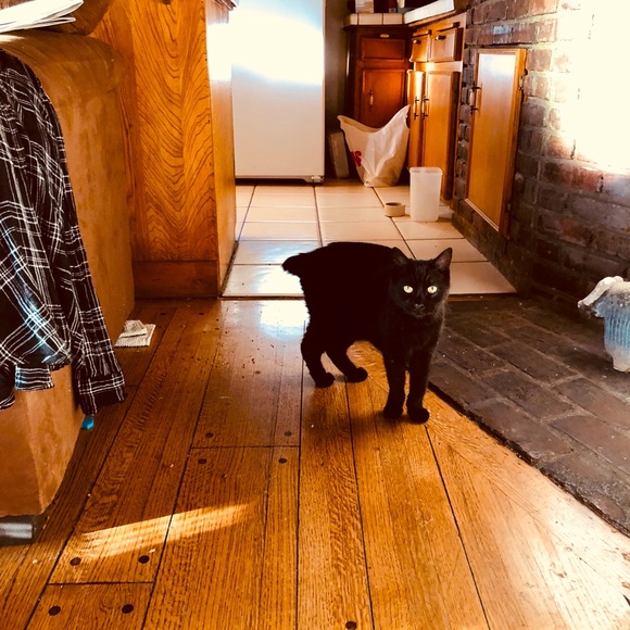 Meet your Posher, Julie - Picture 12 of 16